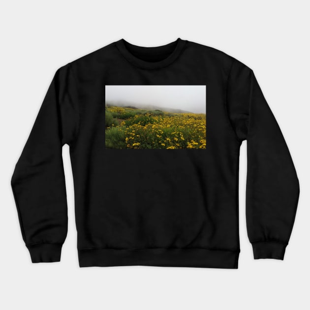 Flowers on Foggy Cliff in San Diego Crewneck Sweatshirt by Babey Bog